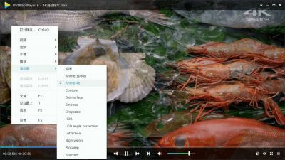 DVDFab Player v6.1.1高级版