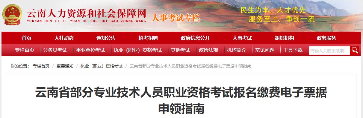 云南省部分专业技术人员职业资格考试报名缴费电子票据申领指南